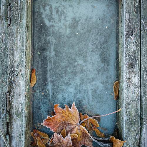 Photo #13654457