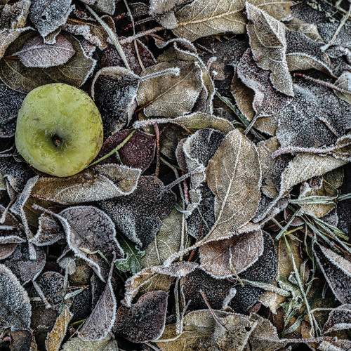 Photo #13654461