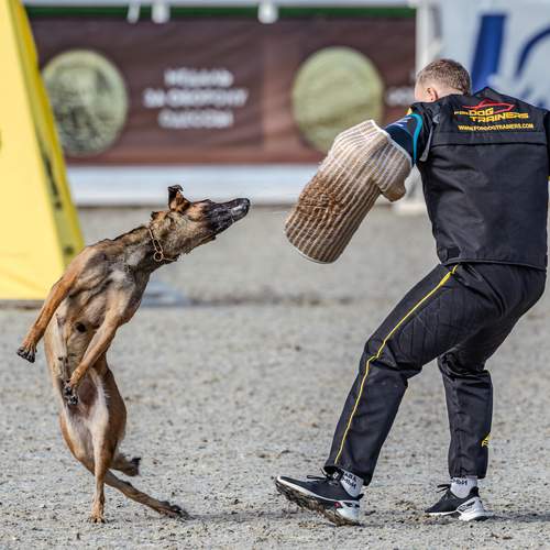 Photo #13654474