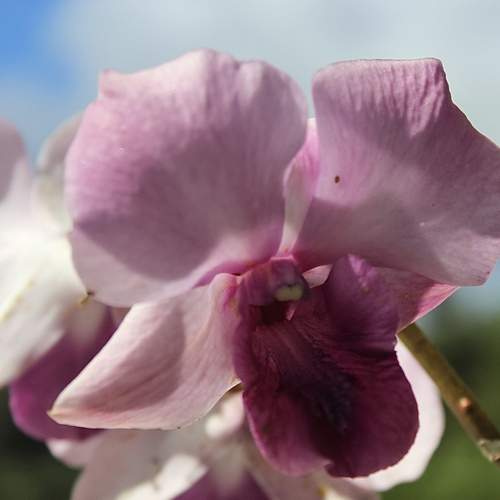Photo #13654477
