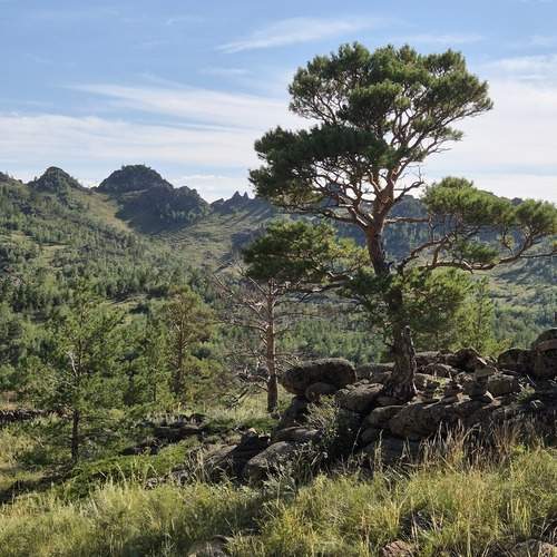 Photo #13654508