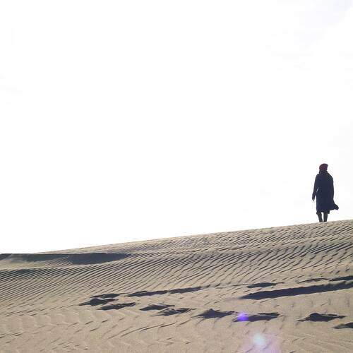 Photo #13654536