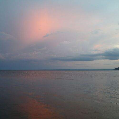 Photo #13654567