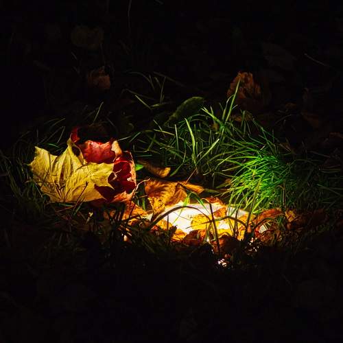 Photo #13654585