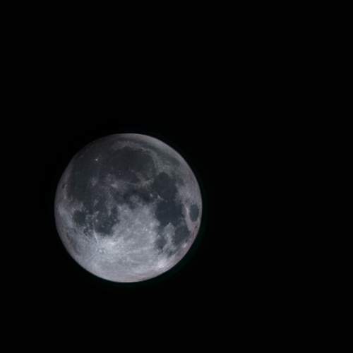 Photo #13654611