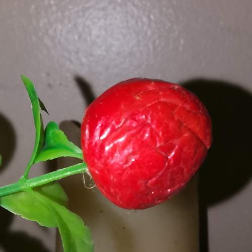 Photo #13654631
