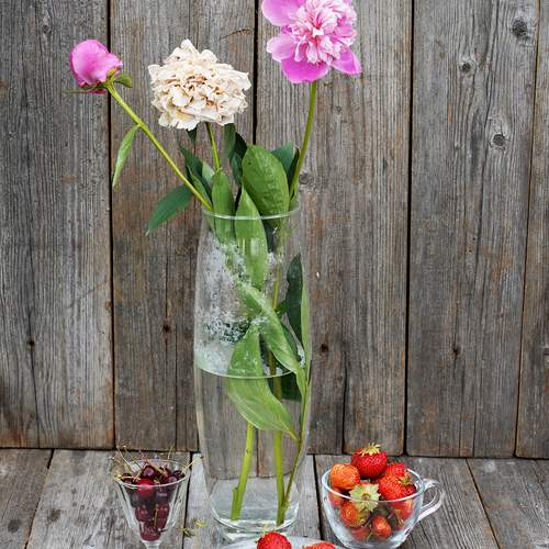 Photo #13654663