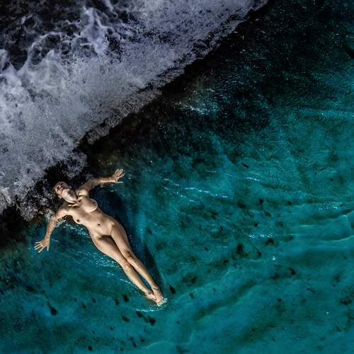 Photo #13654686