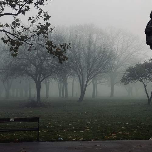 Photo #13654690