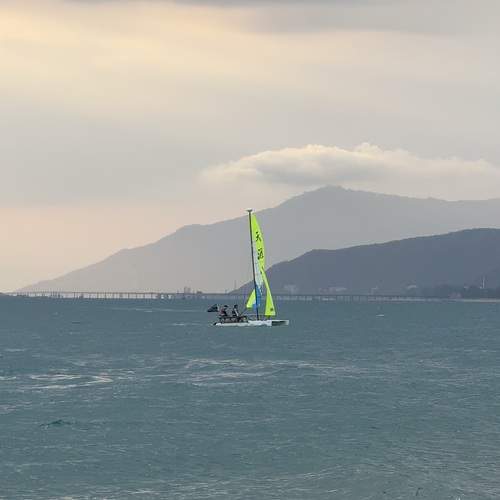 Photo #13654740
