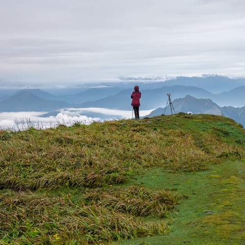 Photo #13654743