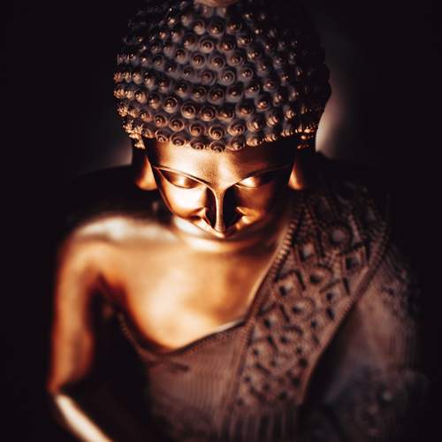 Photo #13654809