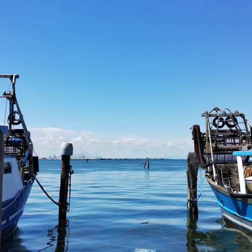 Photo #13654852