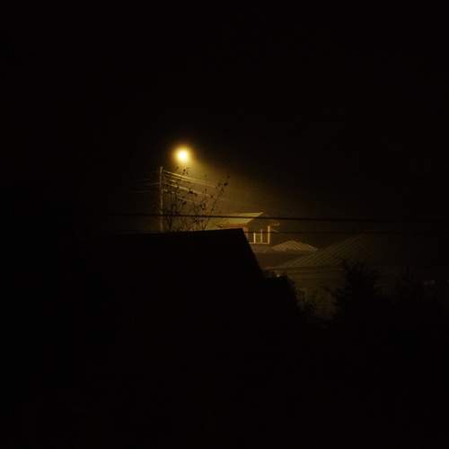 Photo #13654934