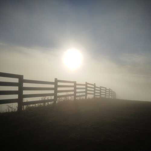 Photo #13654936
