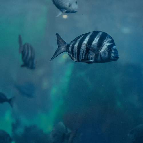 Photo #13654946