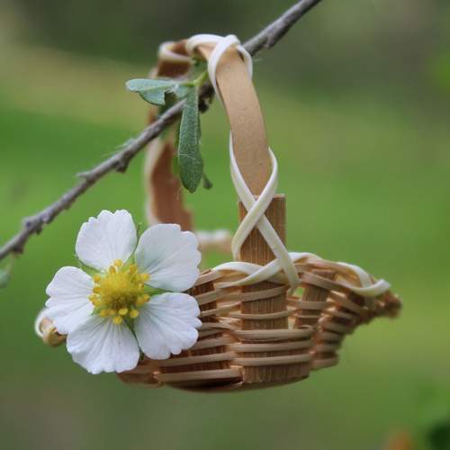 Photo #13655031