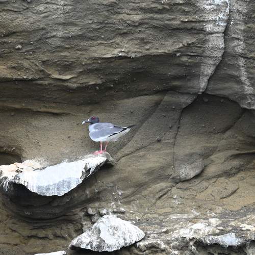 Photo #13655036