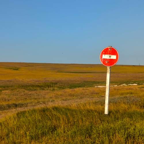 Photo #13655077