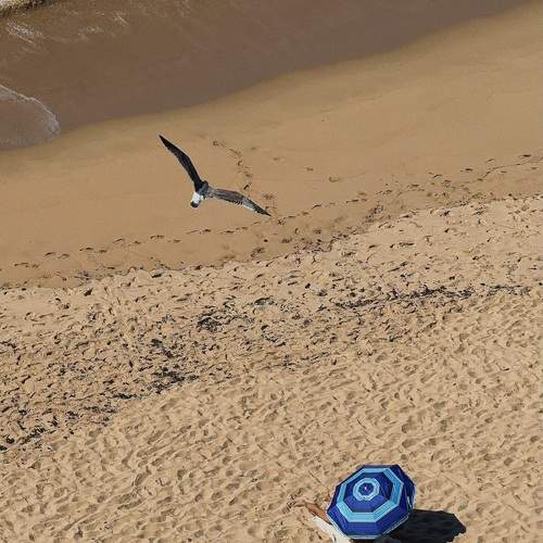 Photo #13655269