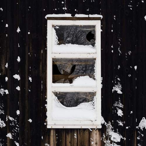 Photo #13655294