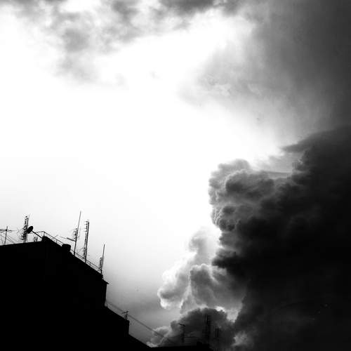 Photo #13655324