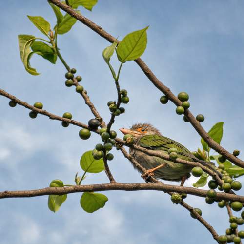 Photo #13655337