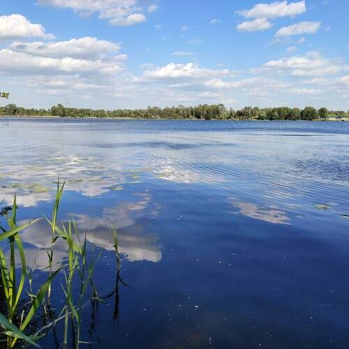 Photo #13655383