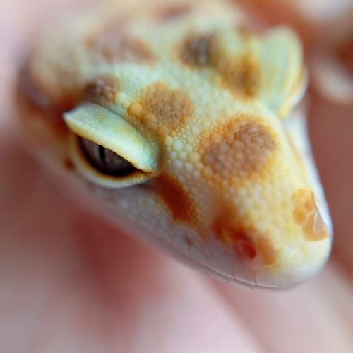 Photo #13655387