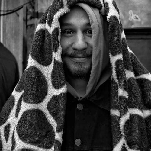 Photo #13655427