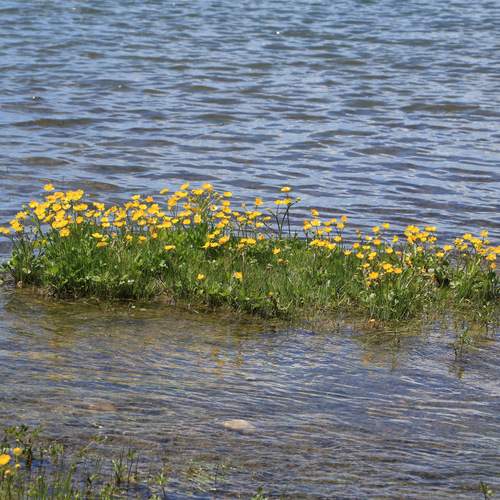 Photo #13655450