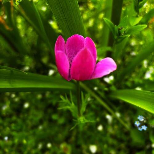 Photo #13655469