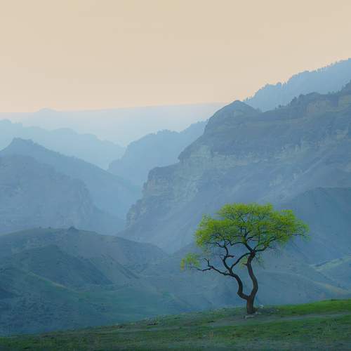 Photo #13655520