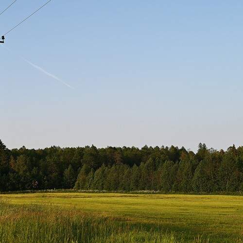 Photo #13655552
