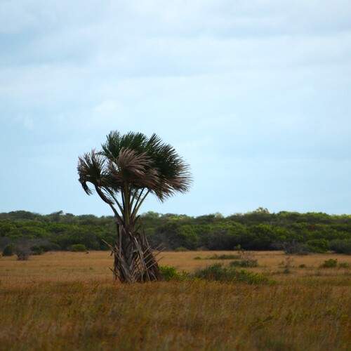 Photo #13655568