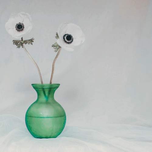 Photo #13655607