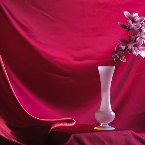Photo #13655609