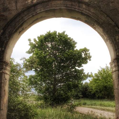 Photo #13655630