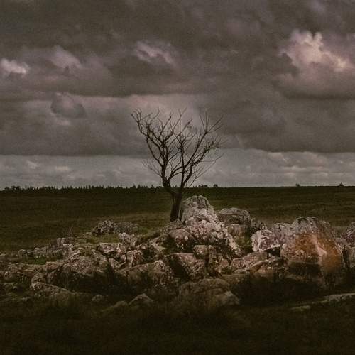 Photo #13655642