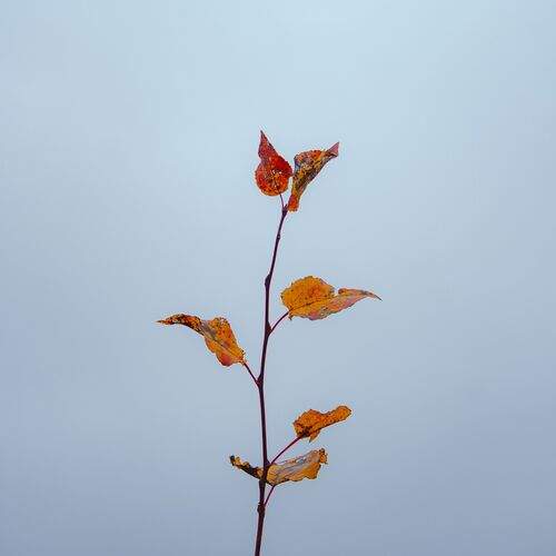 Photo #13655645