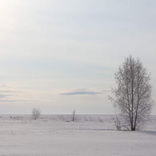 Photo #13655814