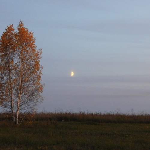 Photo #13655817