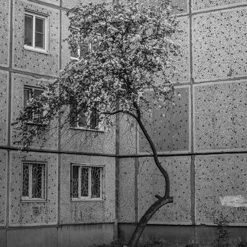 Photo #13655861