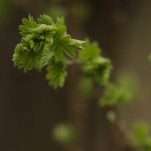 Photo #13655893