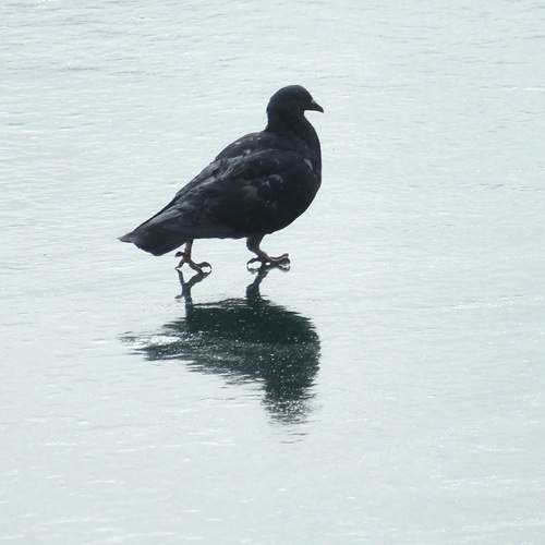 Photo #13655894