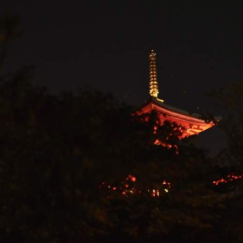 Photo #13655953