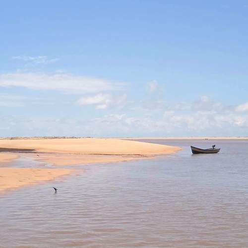 Photo #13655966