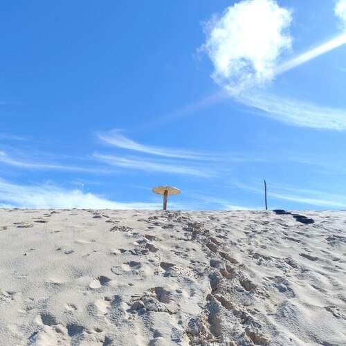 Photo #13655967