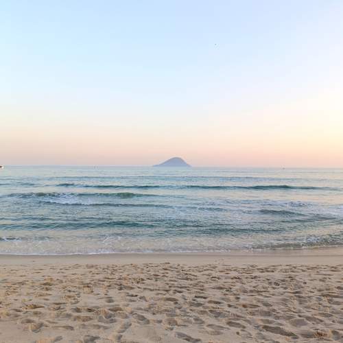 Photo #13655974