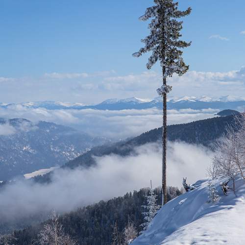 Photo #13655992